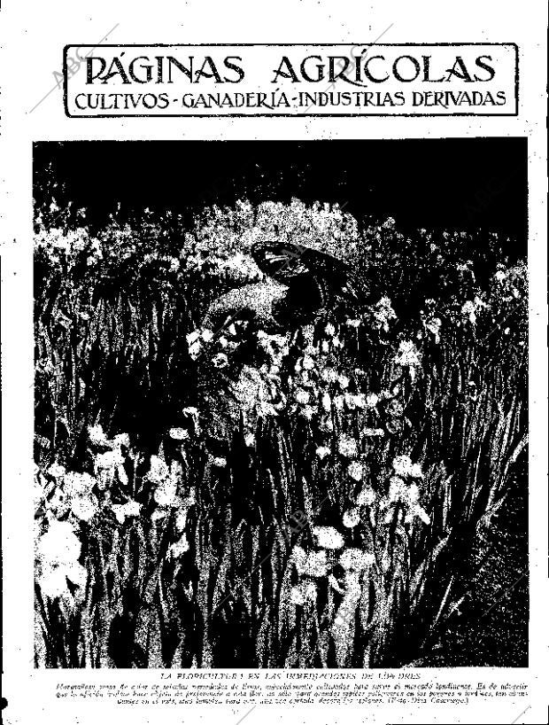 ABC SEVILLA 01-07-1933 página 11