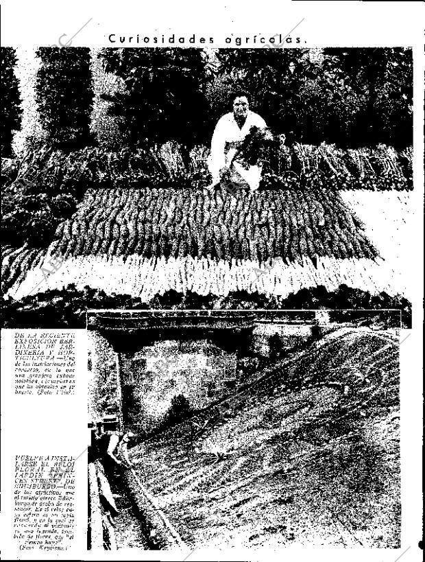 ABC SEVILLA 01-07-1933 página 12