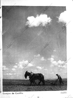 ABC MADRID 16-07-1933 página 67