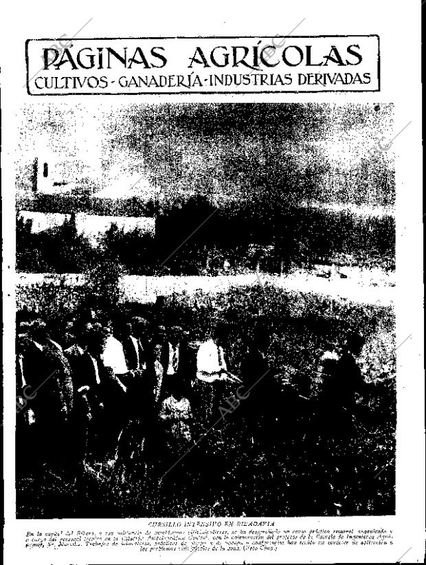ABC SEVILLA 22-07-1933 página 11