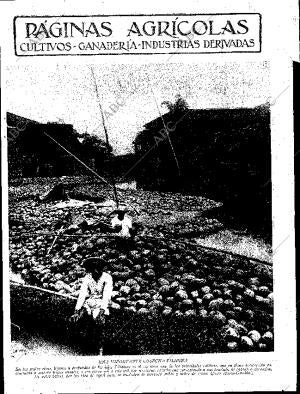 ABC SEVILLA 29-07-1933 página 11