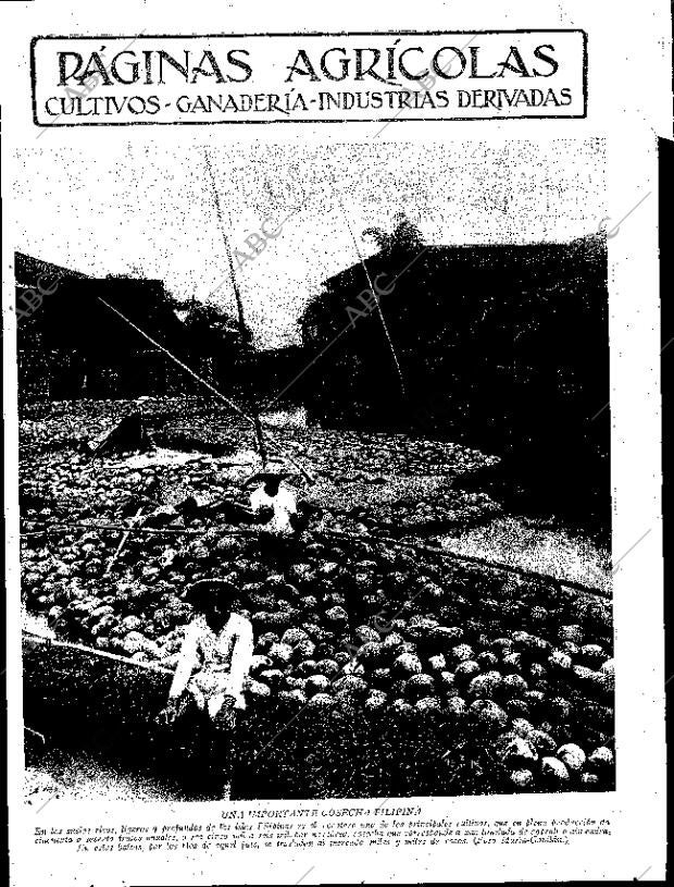 ABC SEVILLA 29-07-1933 página 11