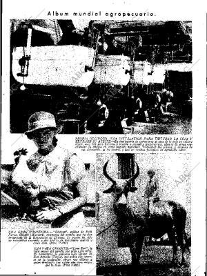 ABC SEVILLA 29-07-1933 página 13