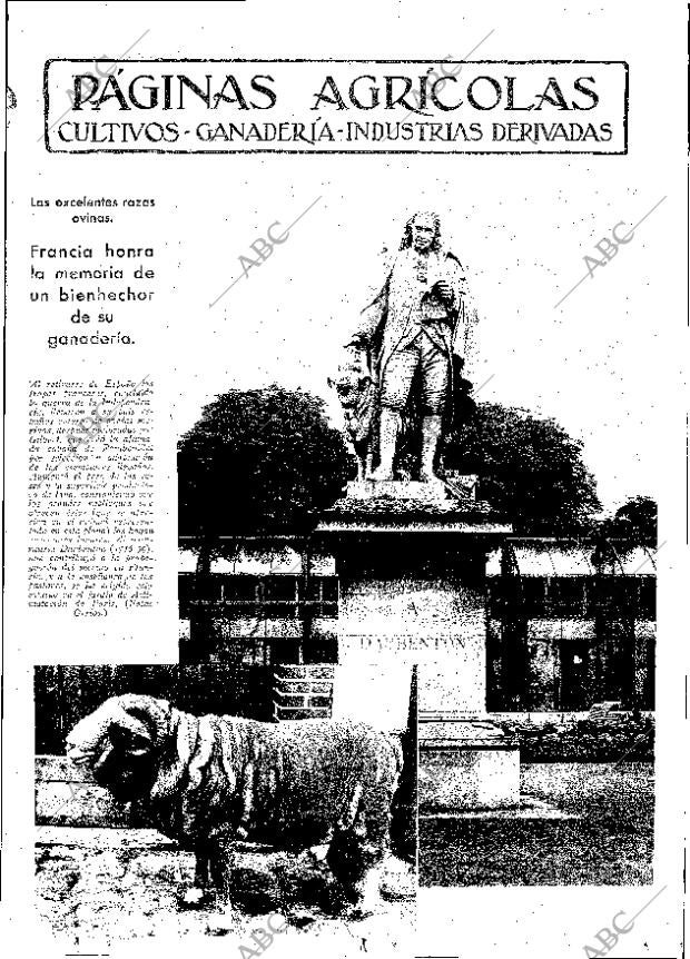 ABC MADRID 11-08-1933 página 11