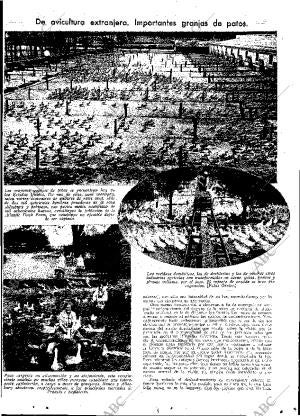 ABC MADRID 18-08-1933 página 13