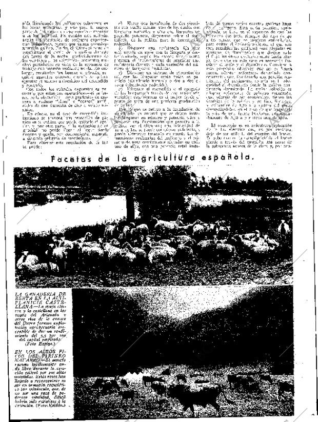 ABC SEVILLA 26-08-1933 página 13