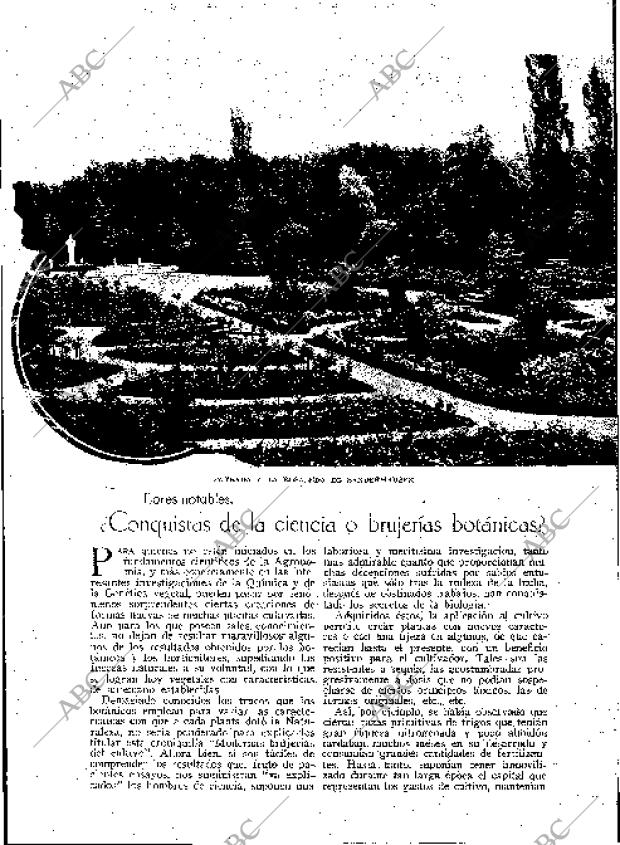 BLANCO Y NEGRO MADRID 03-09-1933 página 117