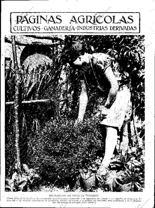 ABC SEVILLA 09-09-1933 página 11