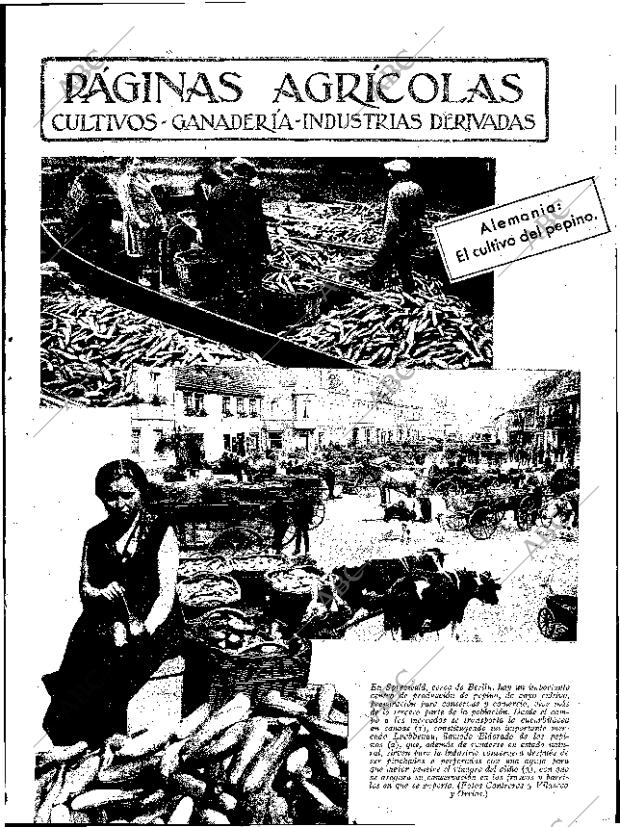 ABC SEVILLA 16-09-1933 página 11