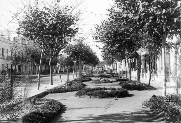 Melilla, octubre de 1933. Calle Carlos de Arellano