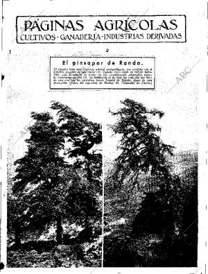 ABC SEVILLA 07-10-1933 página 11