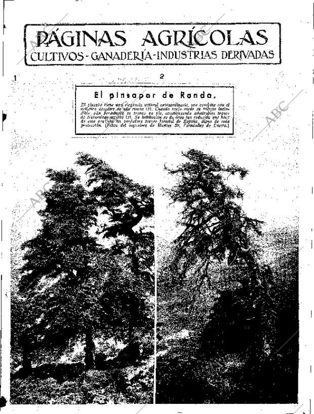 ABC SEVILLA 07-10-1933 página 11