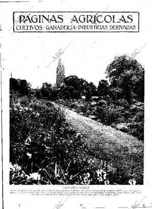 ABC MADRID 13-10-1933 página 11