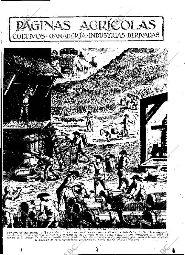 ABC MADRID 20-10-1933 página 11