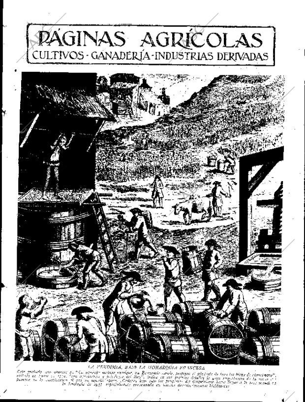 ABC SEVILLA 21-10-1933 página 11