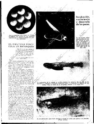 ABC SEVILLA 28-10-1933 página 13