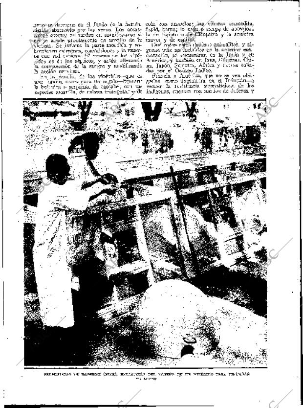 BLANCO Y NEGRO MADRID 29-10-1933 página 198