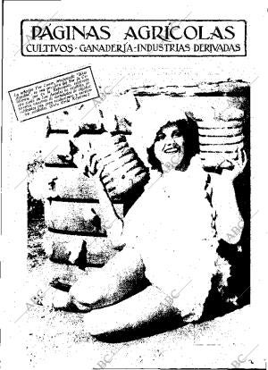 ABC MADRID 03-11-1933 página 11