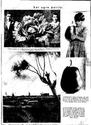 ABC MADRID 03-11-1933 página 12