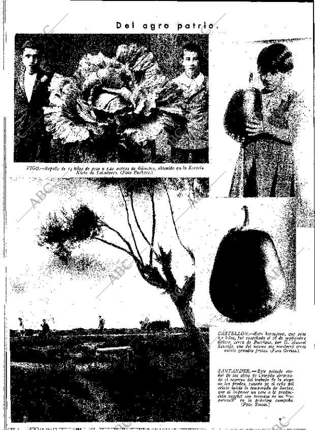 ABC MADRID 03-11-1933 página 12