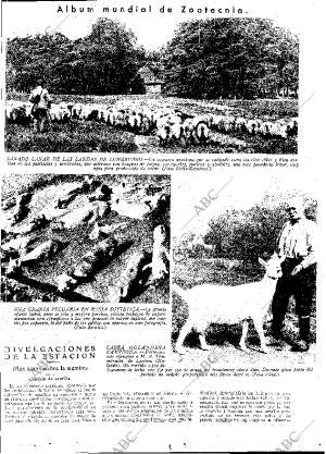 ABC MADRID 10-11-1933 página 13