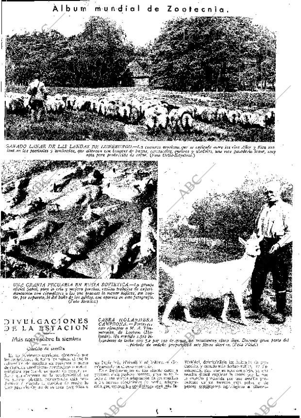 ABC MADRID 10-11-1933 página 13
