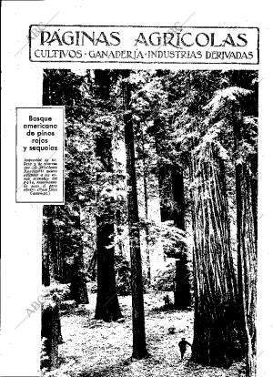 ABC MADRID 24-11-1933 página 11