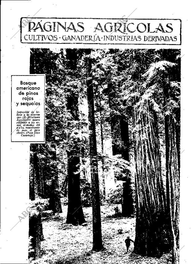 ABC MADRID 24-11-1933 página 11