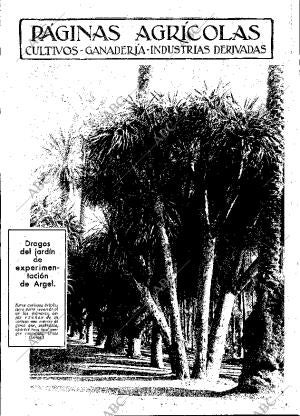 ABC MADRID 01-12-1933 página 11