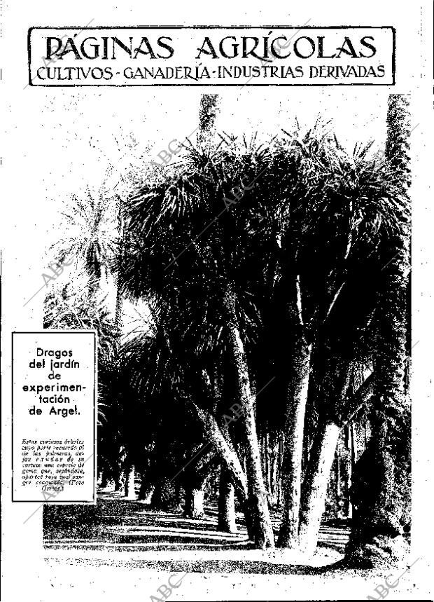 ABC MADRID 01-12-1933 página 11