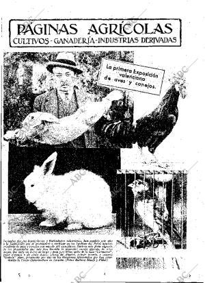 ABC MADRID 15-12-1933 página 11