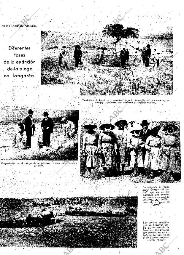 ABC MADRID 15-12-1933 página 13