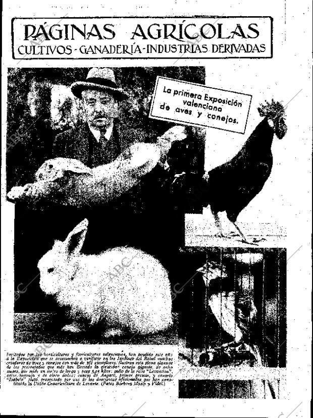 ABC SEVILLA 16-12-1933 página 35