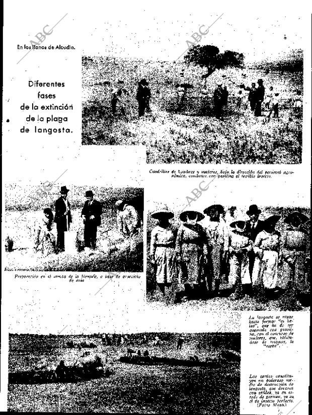 ABC SEVILLA 16-12-1933 página 37