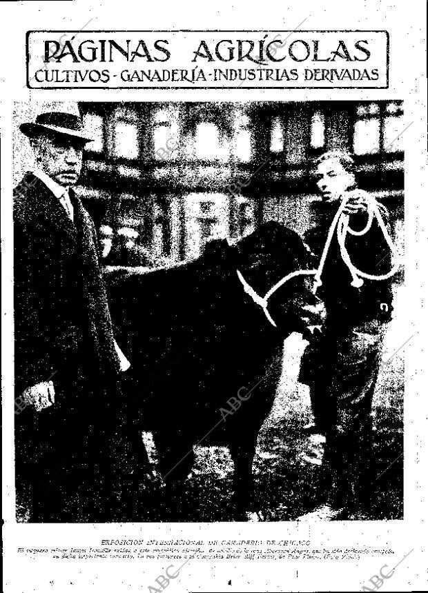 ABC MADRID 29-12-1933 página 11