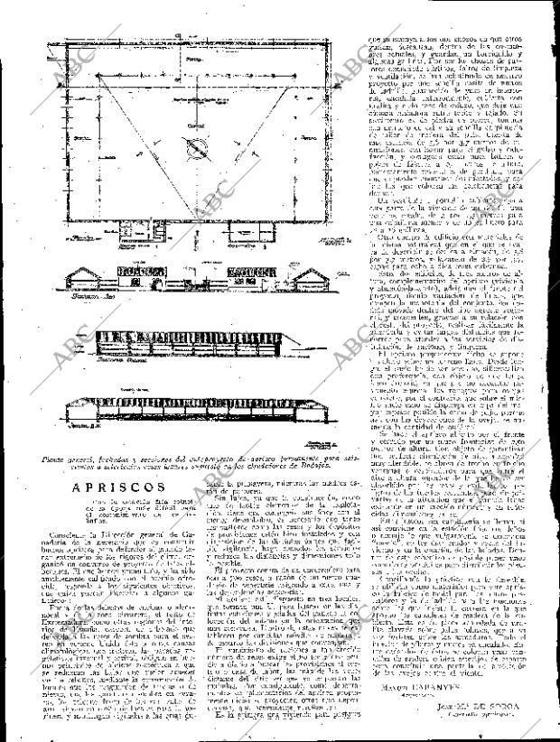 ABC SEVILLA 30-12-1933 página 38