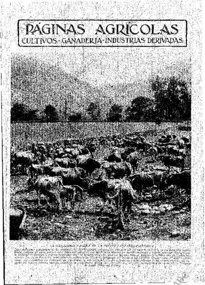 ABC MADRID 05-01-1934