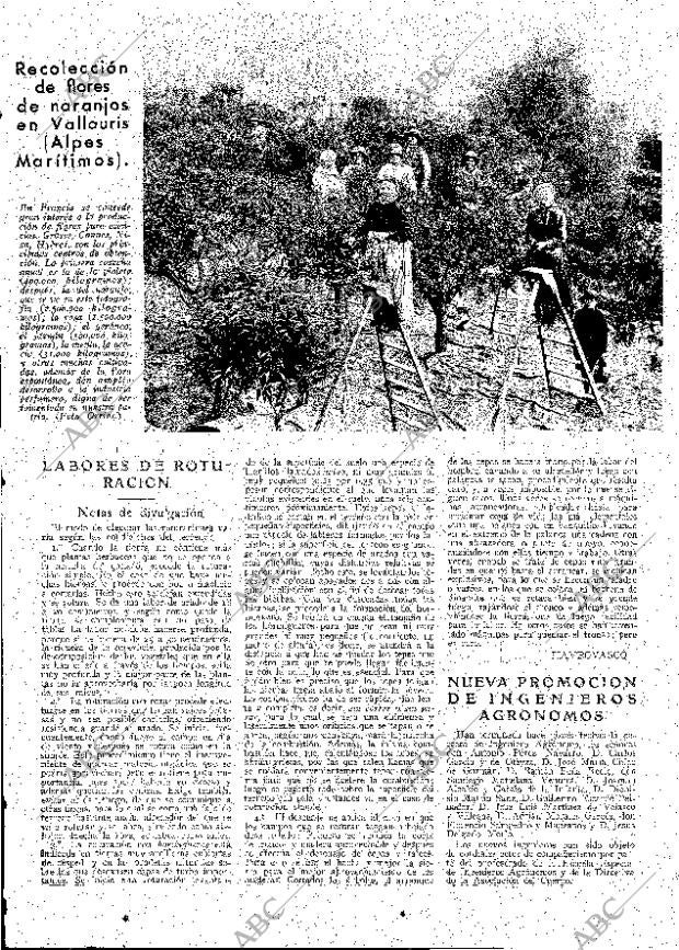 ABC MADRID 05-01-1934 página 13