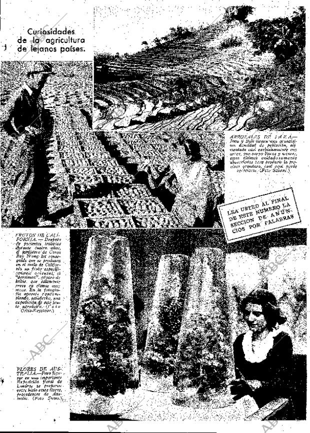 ABC MADRID 09-02-1934 página 13