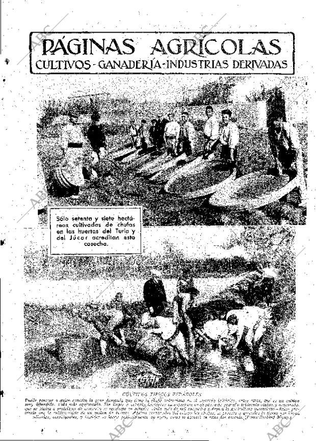 ABC MADRID 16-02-1934 página 11