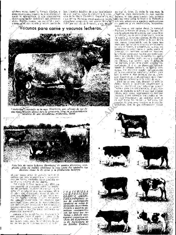 ABC SEVILLA 24-02-1934 página 13