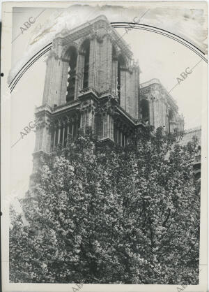 Las torres de la catedral de Notre Dame con los arboles cercanos en flor