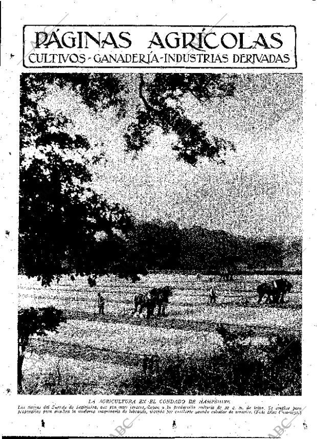 ABC MADRID 13-04-1934 página 11