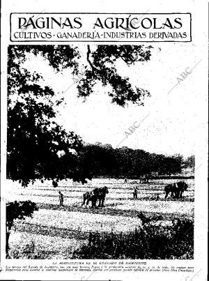 ABC SEVILLA 14-04-1934 página 11