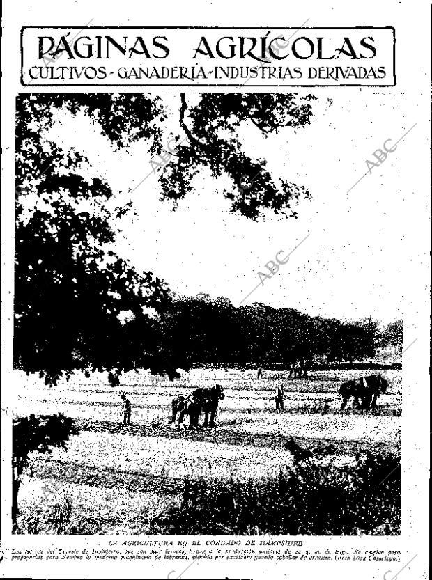 ABC SEVILLA 14-04-1934 página 11