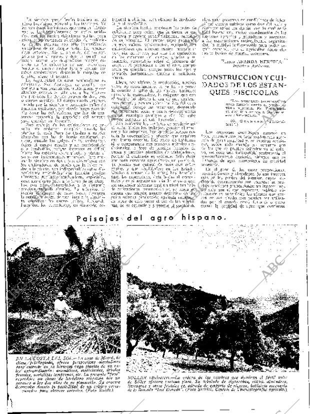 ABC SEVILLA 28-04-1934 página 13