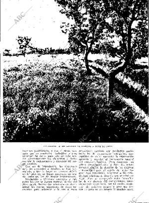 BLANCO Y NEGRO MADRID 27-05-1934 página 177