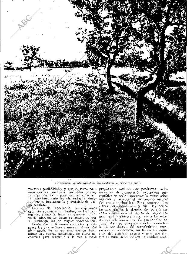 BLANCO Y NEGRO MADRID 27-05-1934 página 177