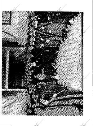 BLANCO Y NEGRO MADRID 27-05-1934 página 59