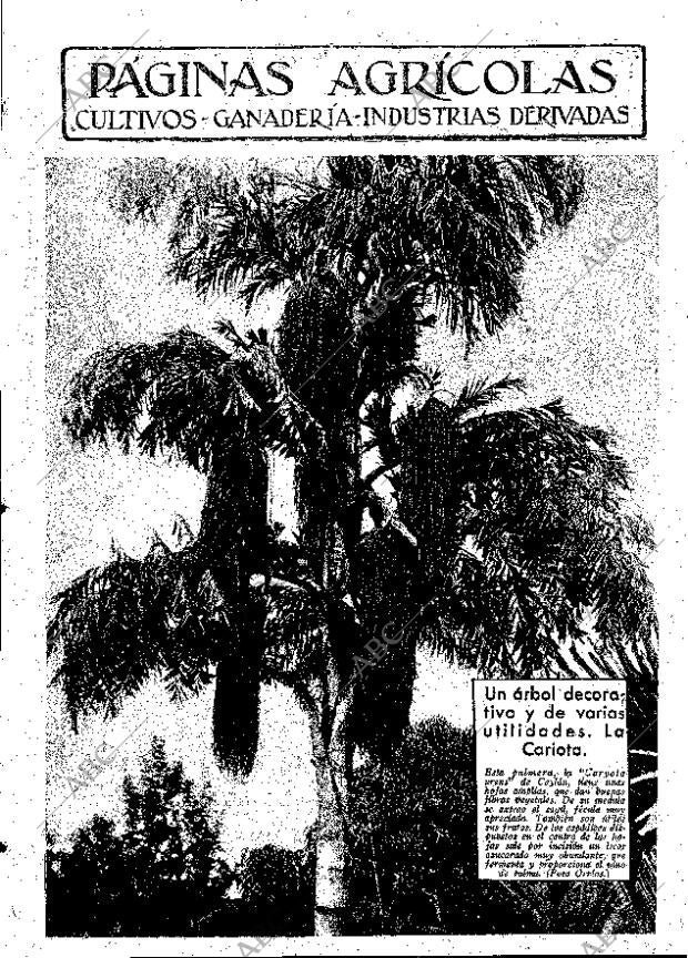 ABC MADRID 01-06-1934 página 11